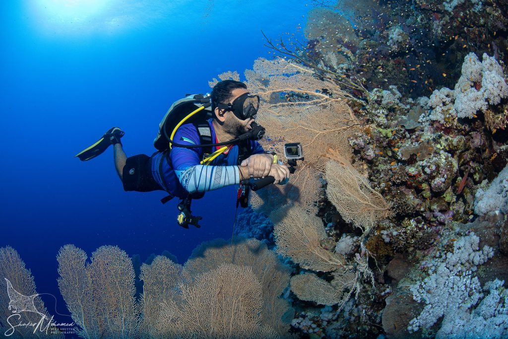 Red Sea photography