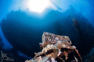 Liveaboard Red Sea Diving