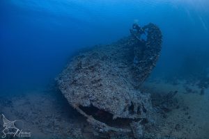 Red Sea Wreck Dive